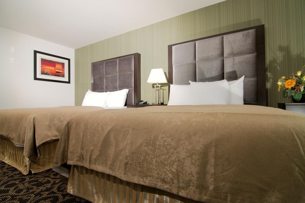 Paradise Inn And Suites Redwater Δωμάτιο φωτογραφία